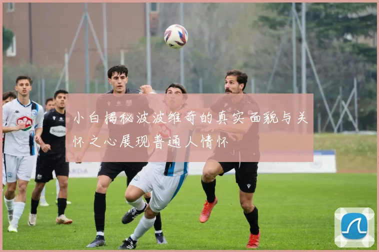 小白揭秘波波维奇的真实面貌与关怀之心展现普通人情怀