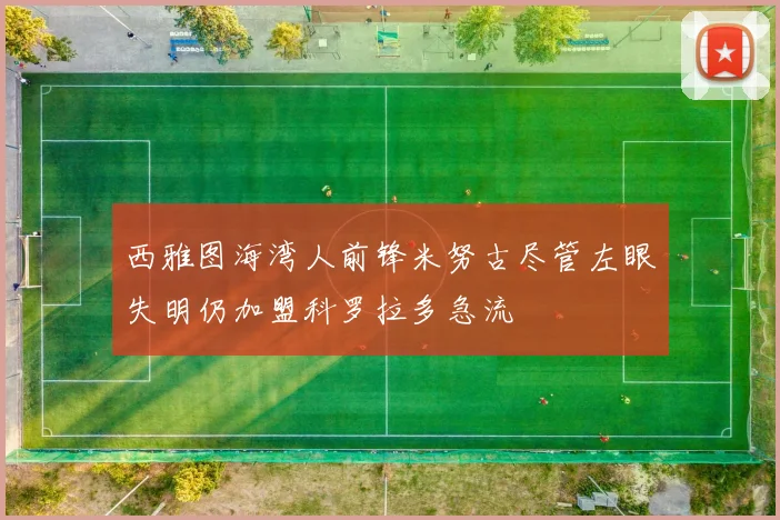 西雅图海湾人前锋米努古尽管左眼失明仍加盟科罗拉多急流