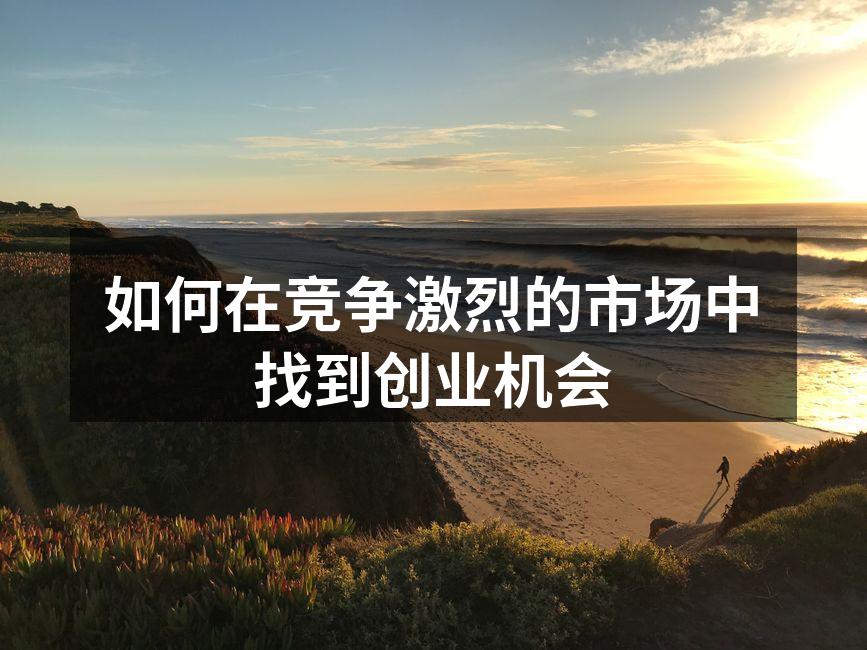 创业者在市场调研