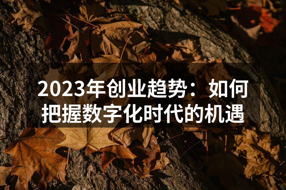 数字化时代的创业机遇