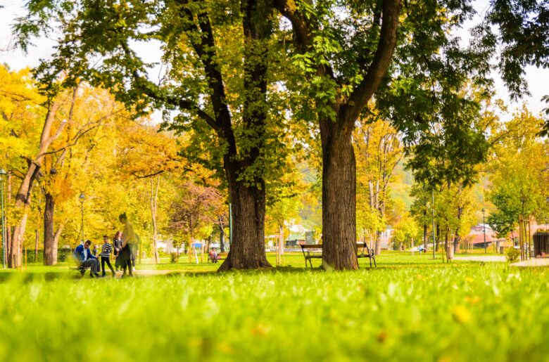 公園で子供を遊ばせたいのに虫が多い…虫嫌いなママができる対策は？